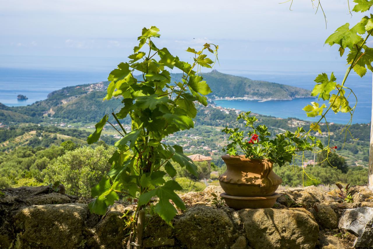 Il Castello Di San Sergio Чентола Экстерьер фото